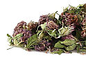 Red Clover Blossoms (Trifolium pratense), Organic