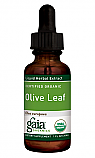 Olive Leaf (Organic), 1 oz