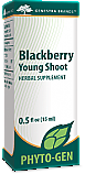 Blackberry Young Shoot