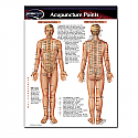 Acupuncture Points Permachart